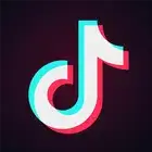 TikTok Bypass Logo